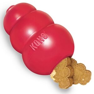 Kong Classic Toy 04